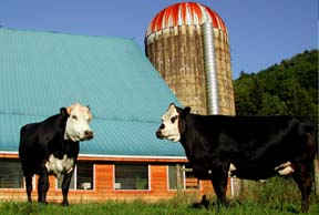 Big Barn West Wing