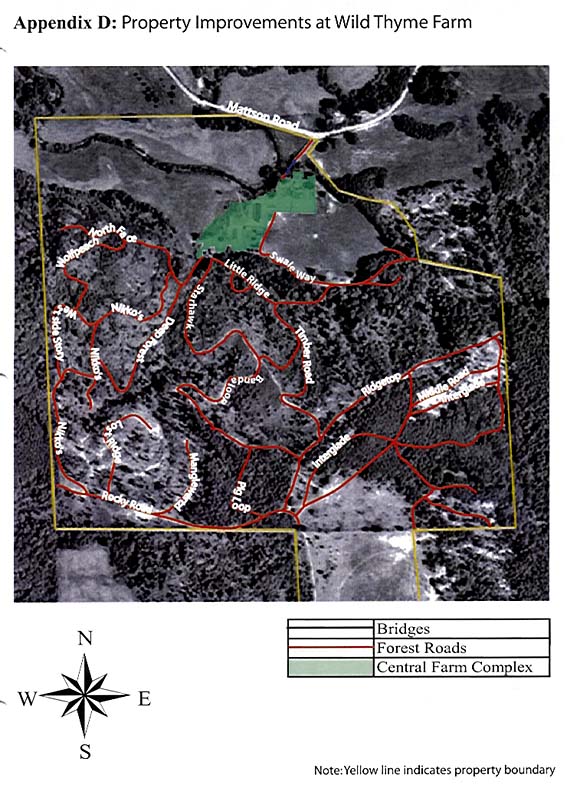 WTF Map: Forest Roads