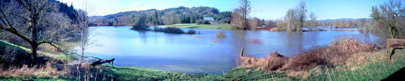 Winter Flooding of the pasture