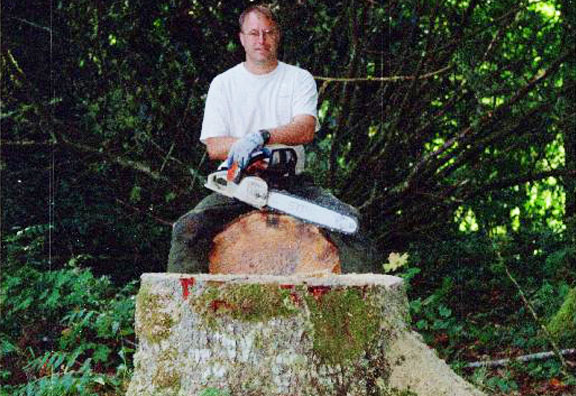 Alders before and after thinning