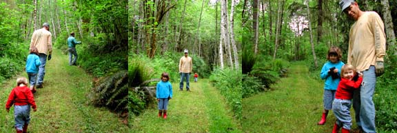 Grassy Pathways