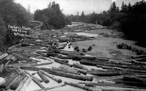 Chehalis River near Elma