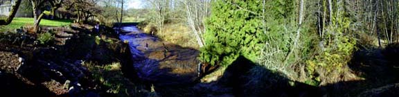 Eastern wetlands with plastic cover, Feb 2000