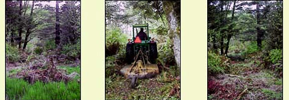 Clearing a road