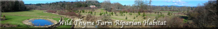 Wild Thyme Farm Riparian Habitat