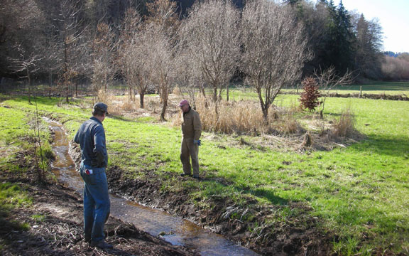 Pasture along Garrard Creek, Spring 1999