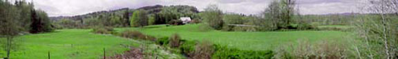 Pasture along Garrard Creek, Spring 1999