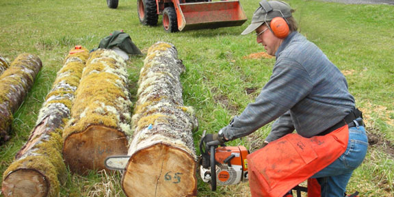 Trimming logs