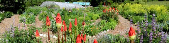 Garden Trees