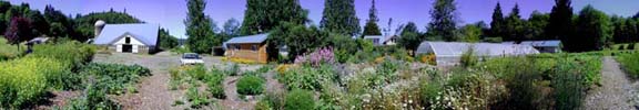 Gardens, Greenhouse and Barn